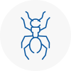 Ant Removals In Chipping Campden