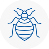 Bed Bug Extermination In Chipping Campden