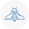 Bee Nest Removal Chipping Campden
