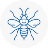 Chipping Campden Hornet Nest Removals