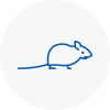 Mice Exterminators In Chipping Campden