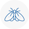 Moth Control Specialists In Chipping Campden