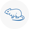 Rat Control Chipping Campden
