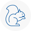 Chipping Campden Rodent Removals